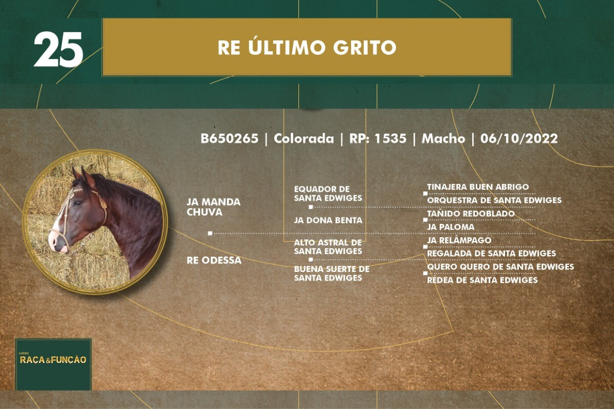 Geração RE ÚLTIMO GRITO