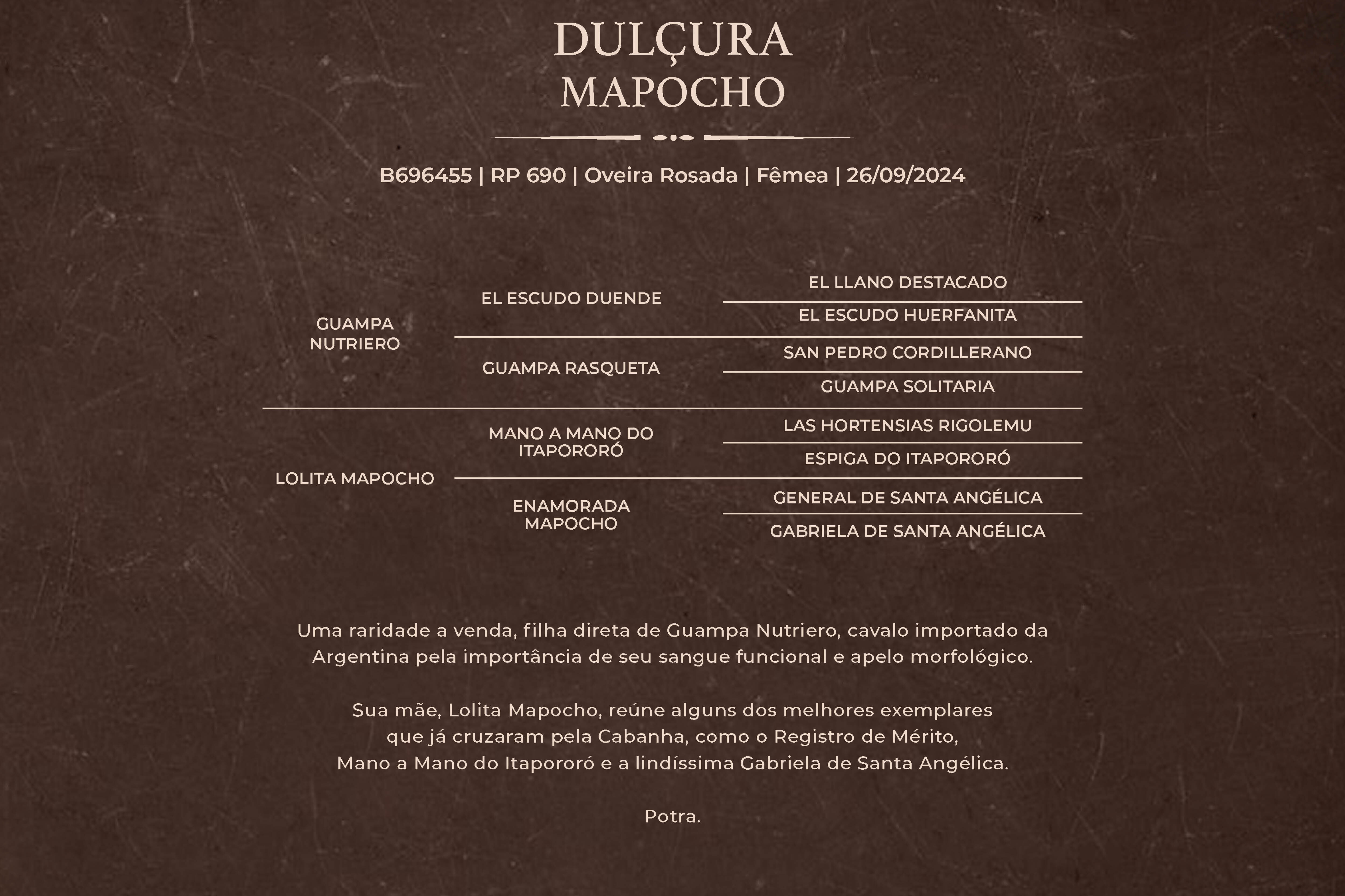 Geração DULÇURA MAPOCHO