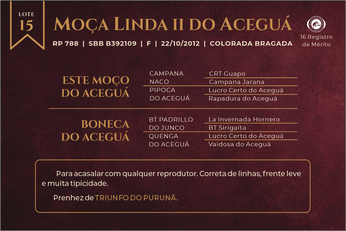 Geração MOÇA LINDA II DO ACEGUÁ