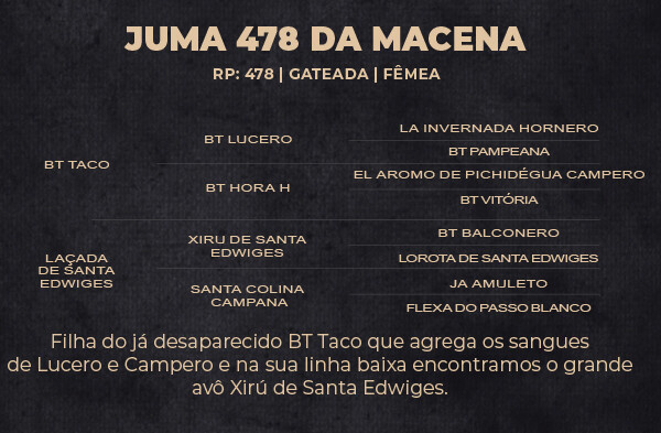Geração JUMA 478 DA MACENA