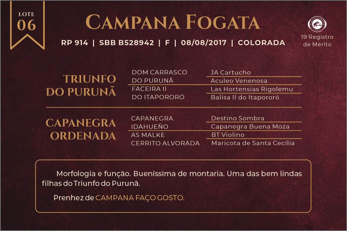 Geração CAMPANA FOGATA