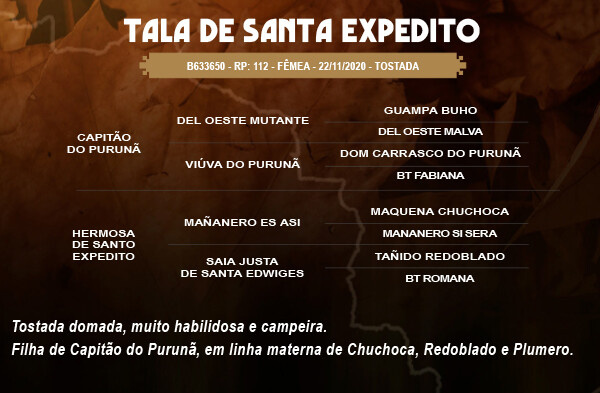 Geração TALA DE SANTO EXPEDITO