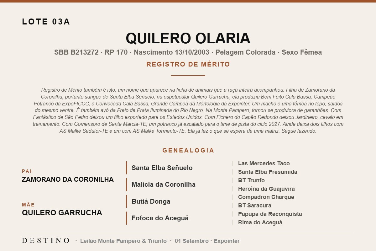 Geração QUILERO OLARIA - (Venda vertical)