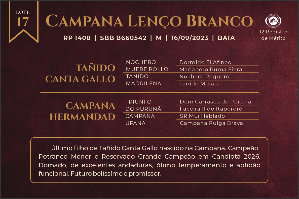 Geração CAMPANA LENÇO BRANCO