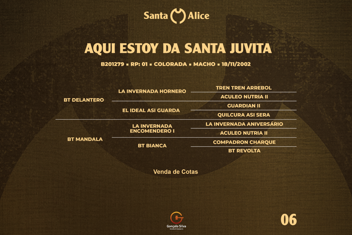 Geração COTA AQUI ESTOY DE SANTA JUVITA 