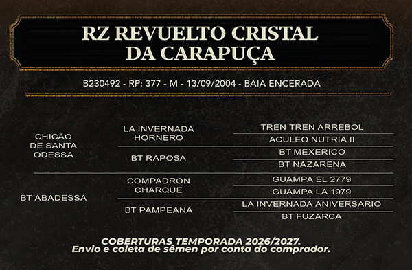 Geração RZ REVUELTO CRISTAL DA CARAPUÇA 