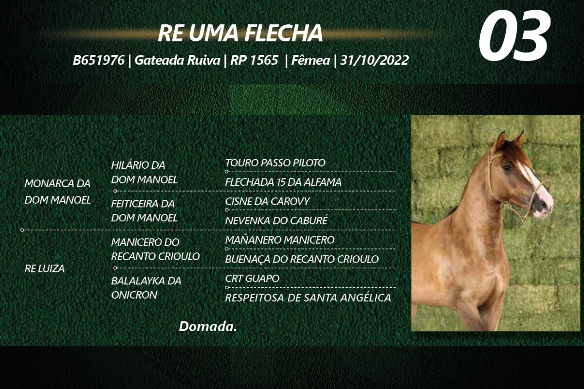 Geração RE UMA FLECHA