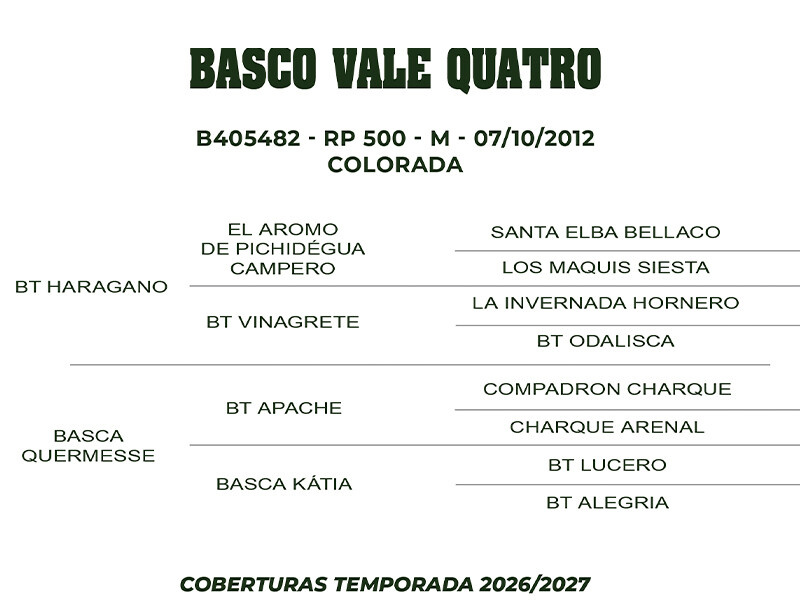 Geração COBERTURA BASCO VALE QUATRO