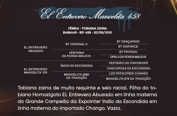 Geração EL ENTREVERO MANOELITA 458