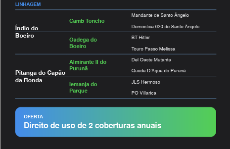 Geração LAS GURIZAS FOGONERO