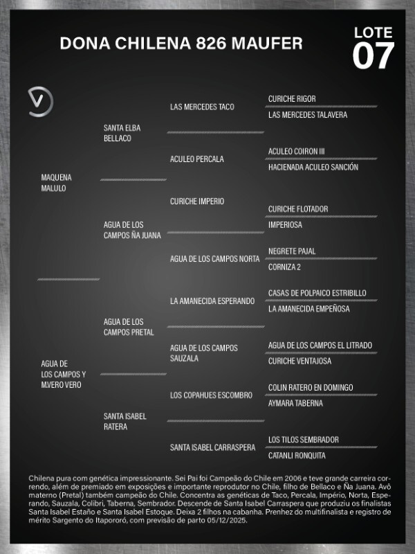 Geração DONA CHILENA 826 MAUFER