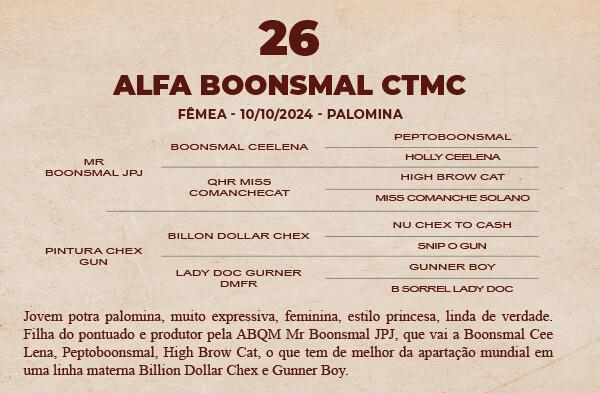 Geração ALFA BOONSMAL CTMC