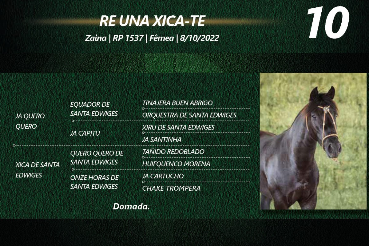 Geração RE UNA CHICA-TE