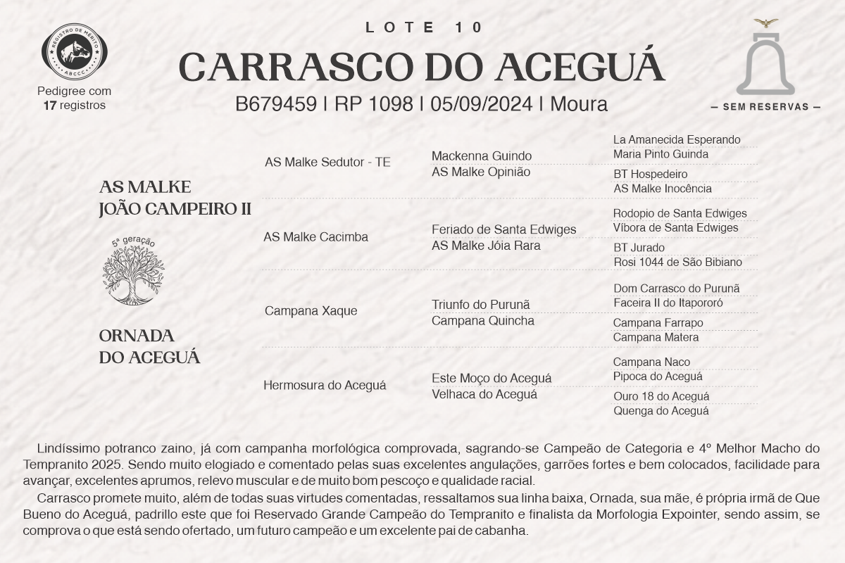 Geração CARRASCO DO ACEGUÁ