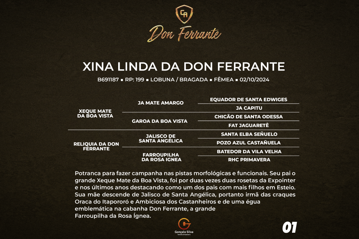 Geração XINA LINDA DA DON FERRANTE 