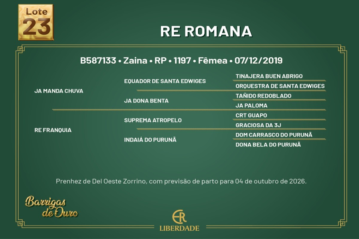 Geração RE ROMANA