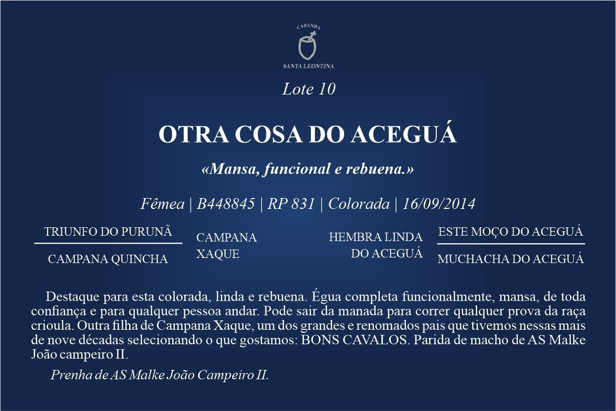 Geração OTRA COSA DO ACEGUÁ