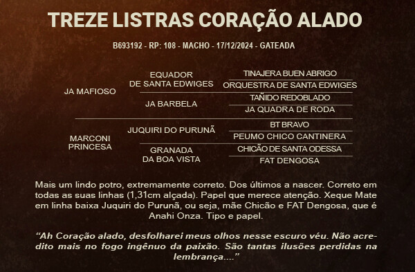 Geração TREZE LISTRAS CORAÇÃO ALADO