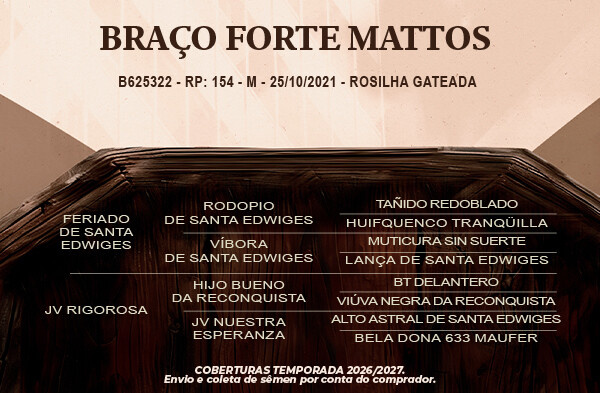 Geração Braço Forte Mattos