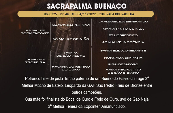 Geração SACRAPALMA BUENAÇO 