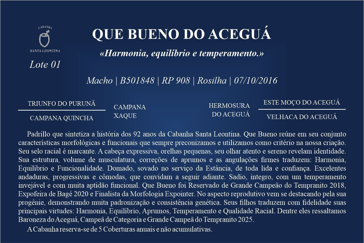 Geração QUE BUENO DO ACEGUÁ