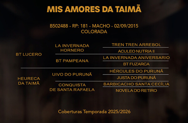 Geração MIS AMORES DA TAIMA