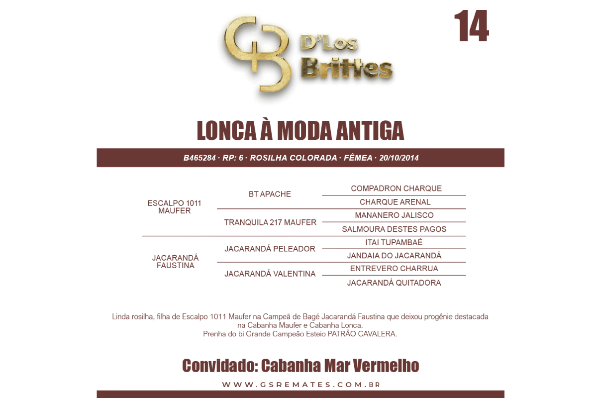 Geração LONCA Á MODA ANTIGA