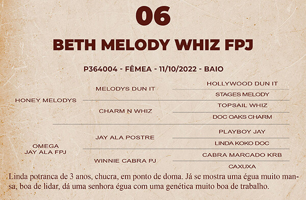 Geração BETH MELODY WIZ FPJ 