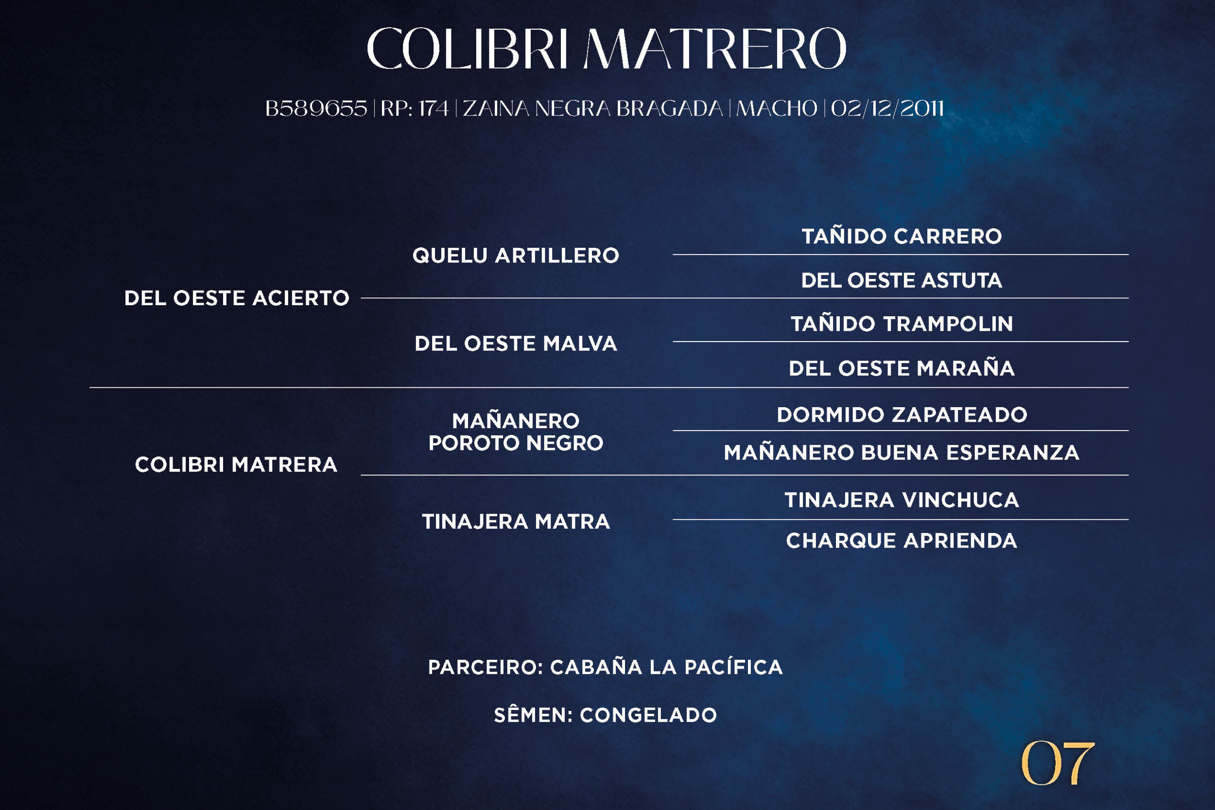 Geração COLIBRI MATRERO