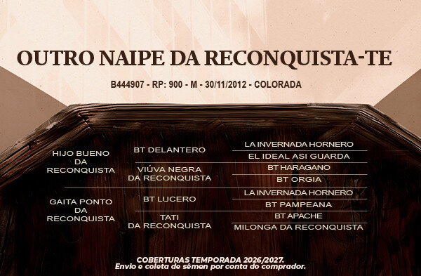 Geração Outro Naipe da Reconquista - TE