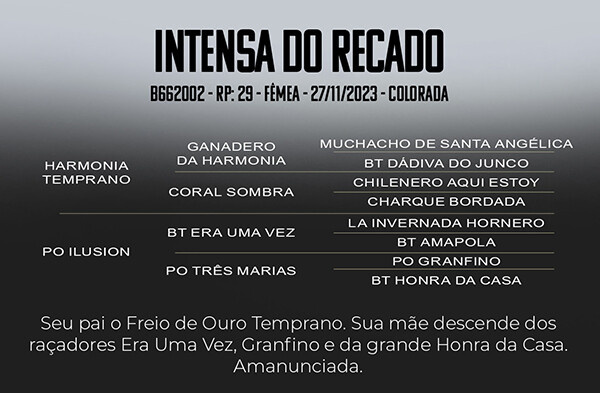 Geração INTENSA DO RECADO