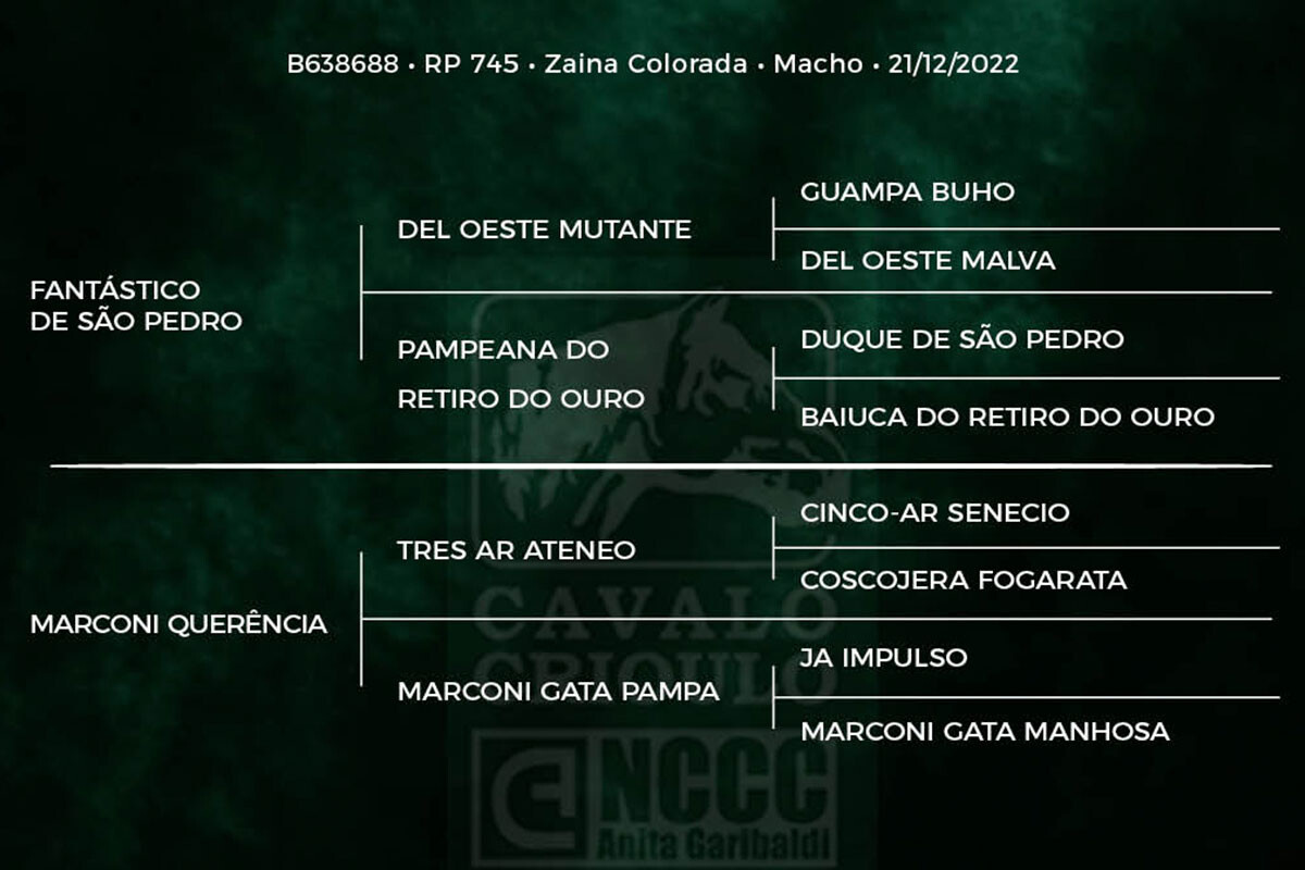 Geração HILÁRIO DA PAVEI