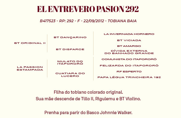 Geração EL ENTREVERO PASSION 292