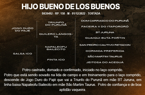 Geração HIJO BUENO DE LOS BUENOS