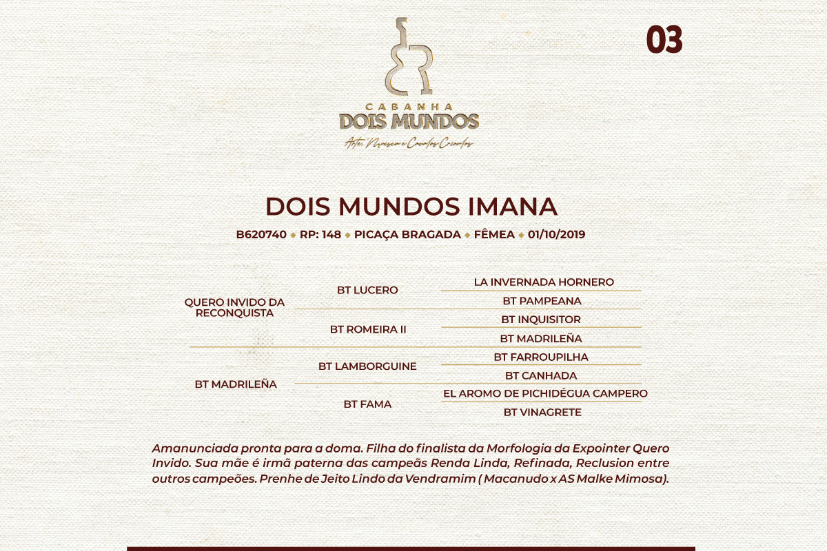 Geração DOIS MUNDOS IMANA