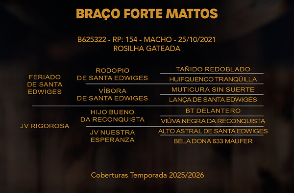 Geração BRAÇO FORTE MATTOS