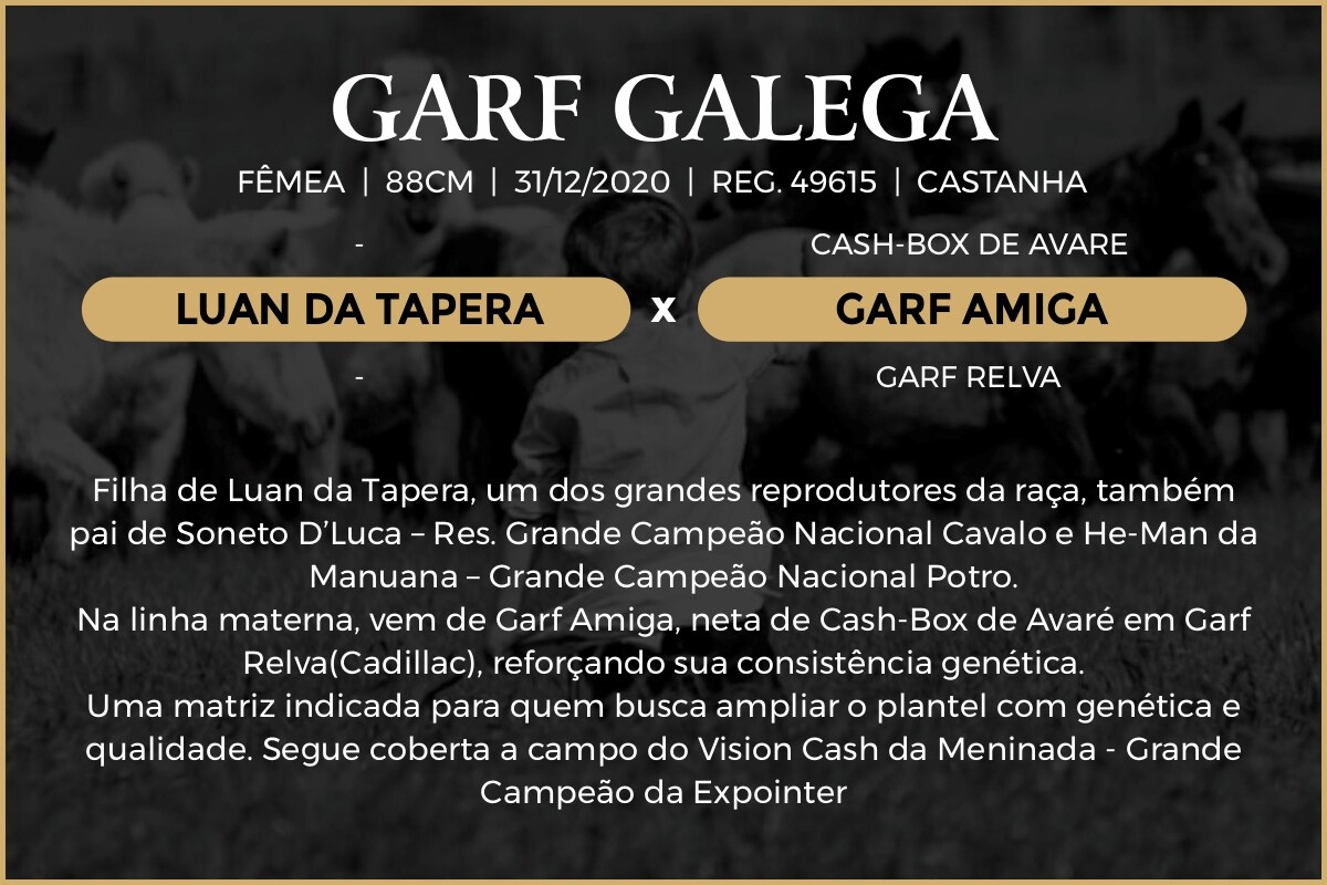 Geração GARF GALEGA