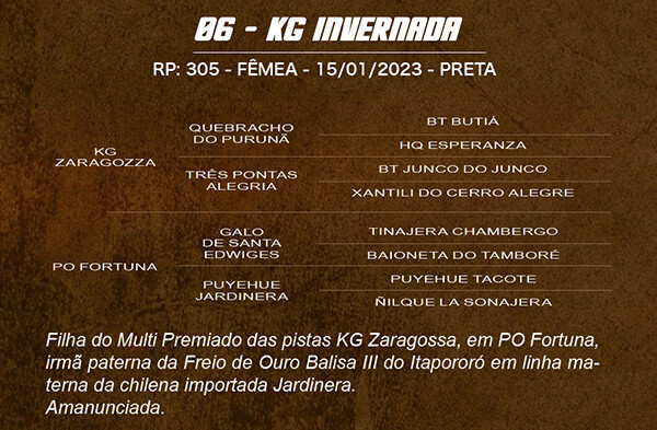 Geração KG INVERNADA