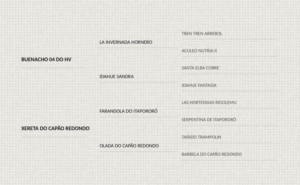 Geração FICHERO DO CAPÃO REDONDO