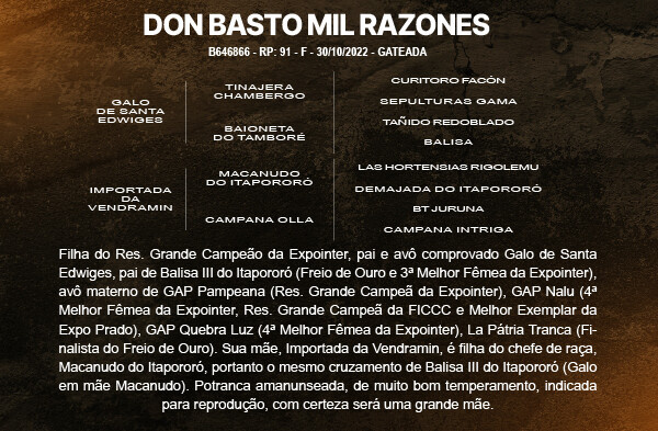 Geração DON BASTO MIL RAZONES 