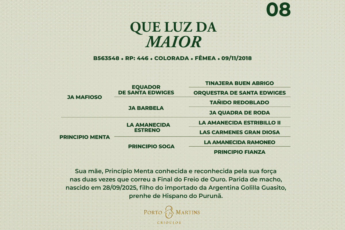 Geração QUE LUZ DA MAIOR