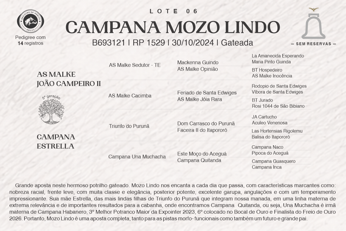Geração CAMPANA MOZO LINDO