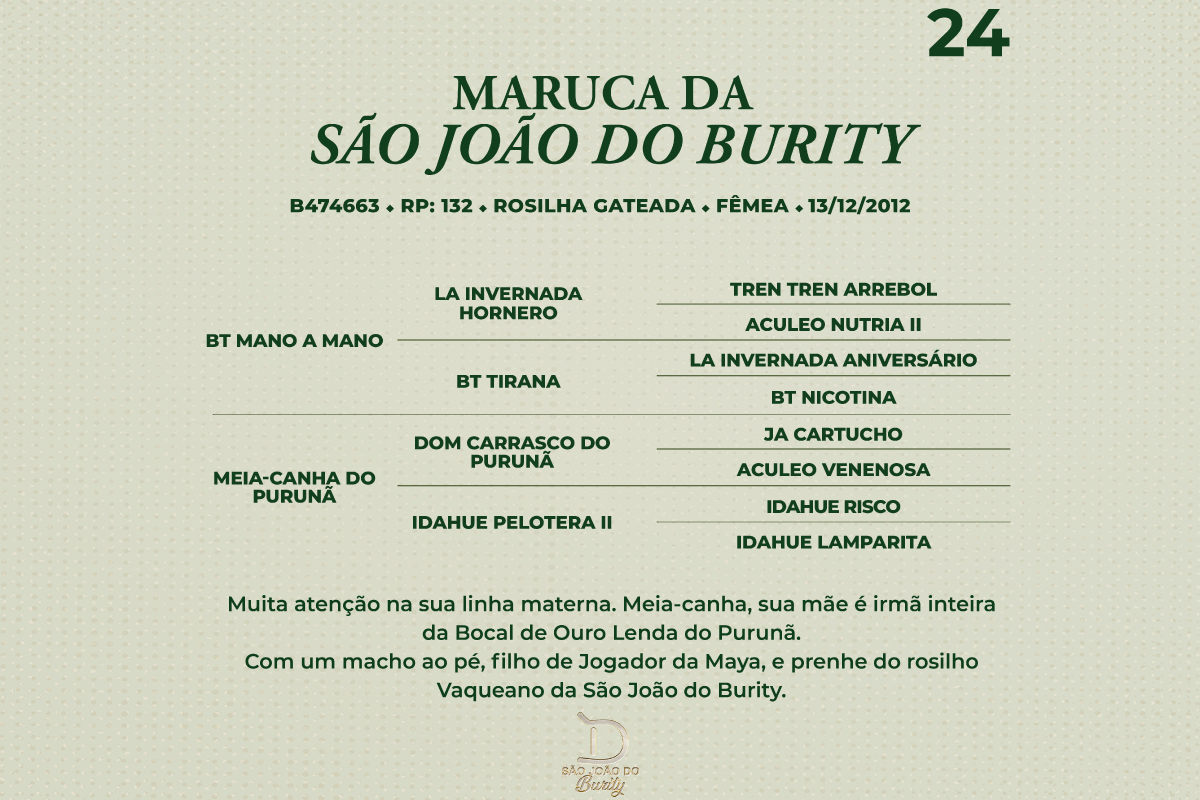 Geração MARUCA DA SÃO JOÃO DO BURITY
