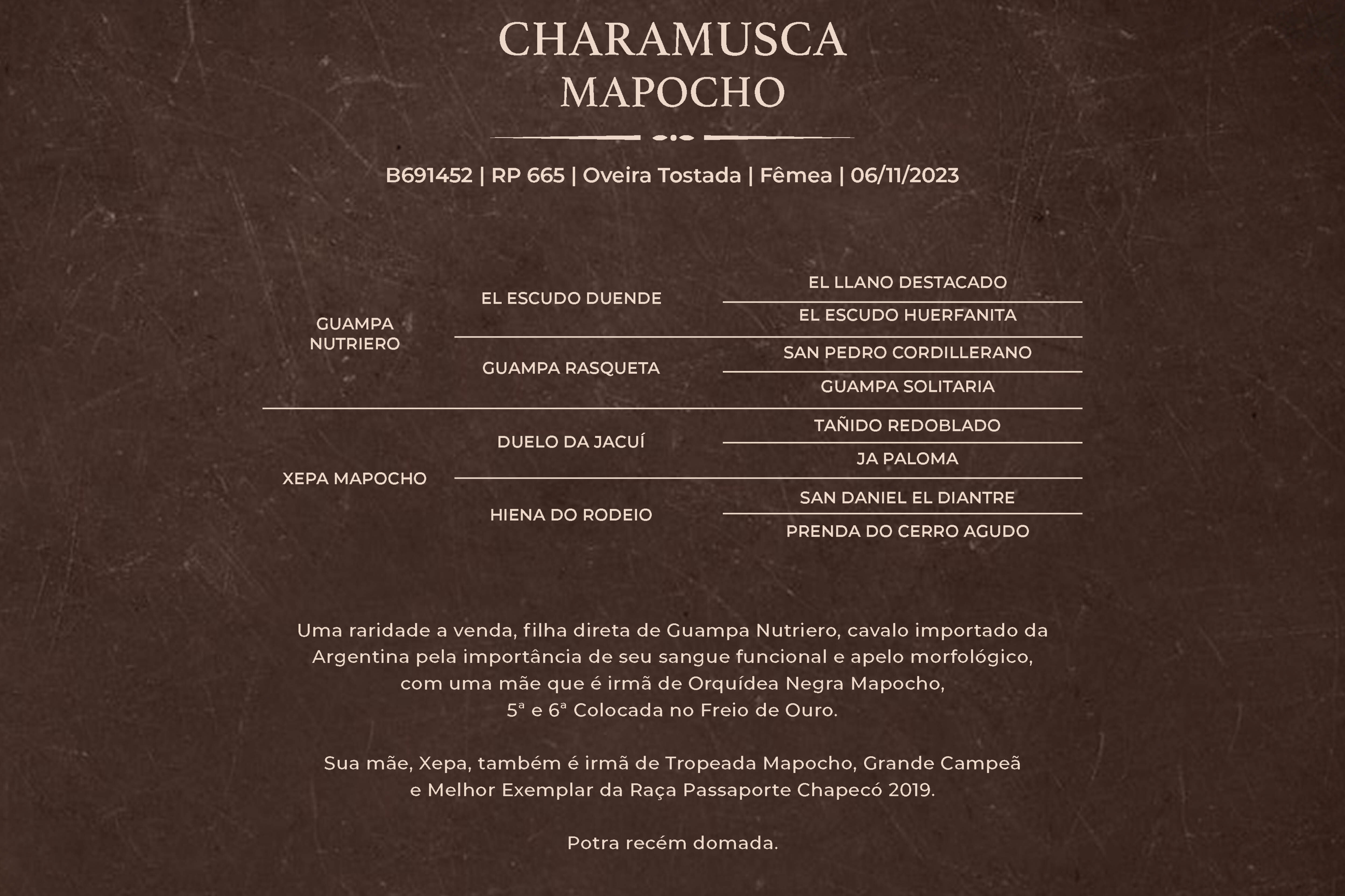 Geração CHARAMUSCA MAPOCHO
