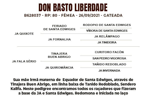 Geração DON BASTO LIBERDADE