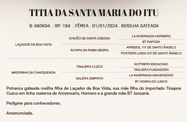 Geração TITIA DA SANTA MARIA DO ITU