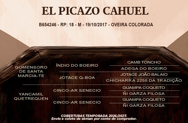 Geração El Picazo Cahuel