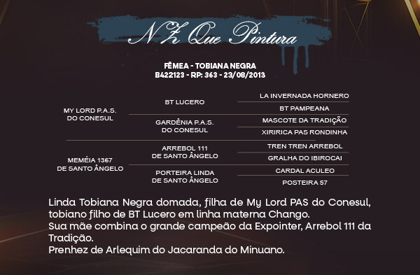 Geração NZ QUE PINTURA 