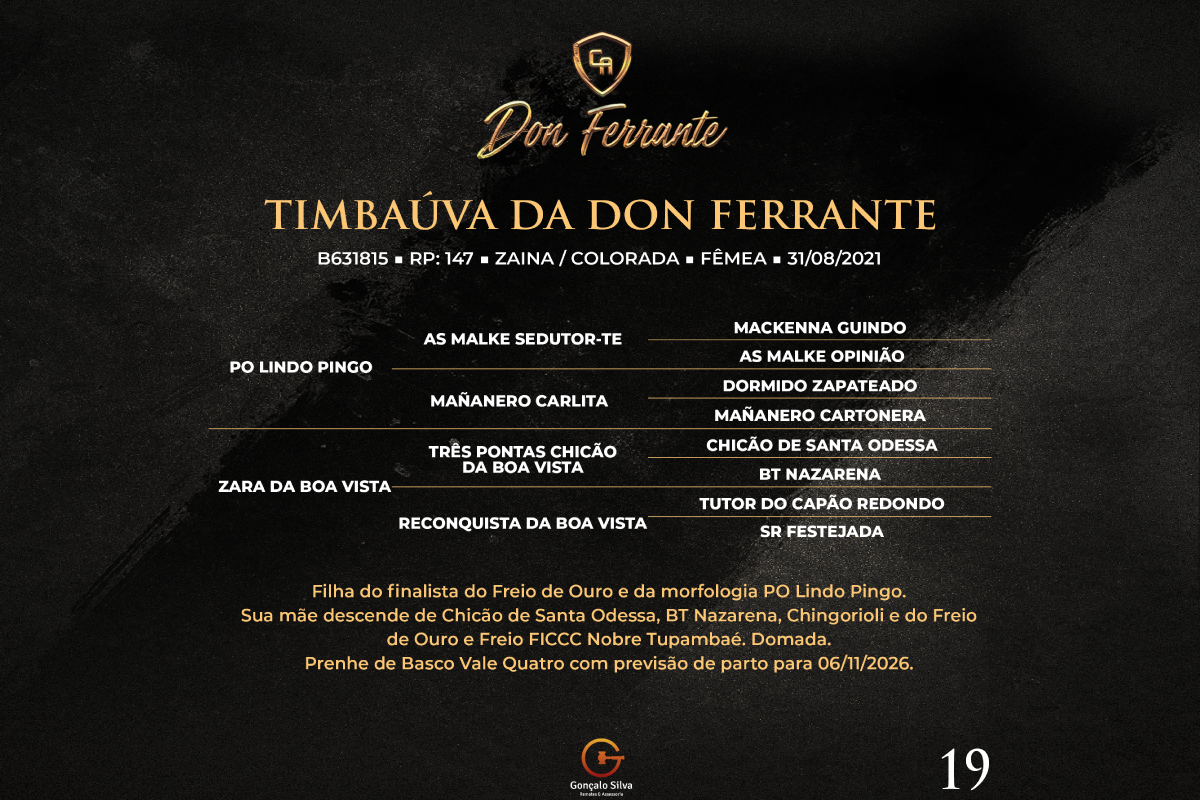 Geração TIMBAÚVA DA DON FERRANTE 