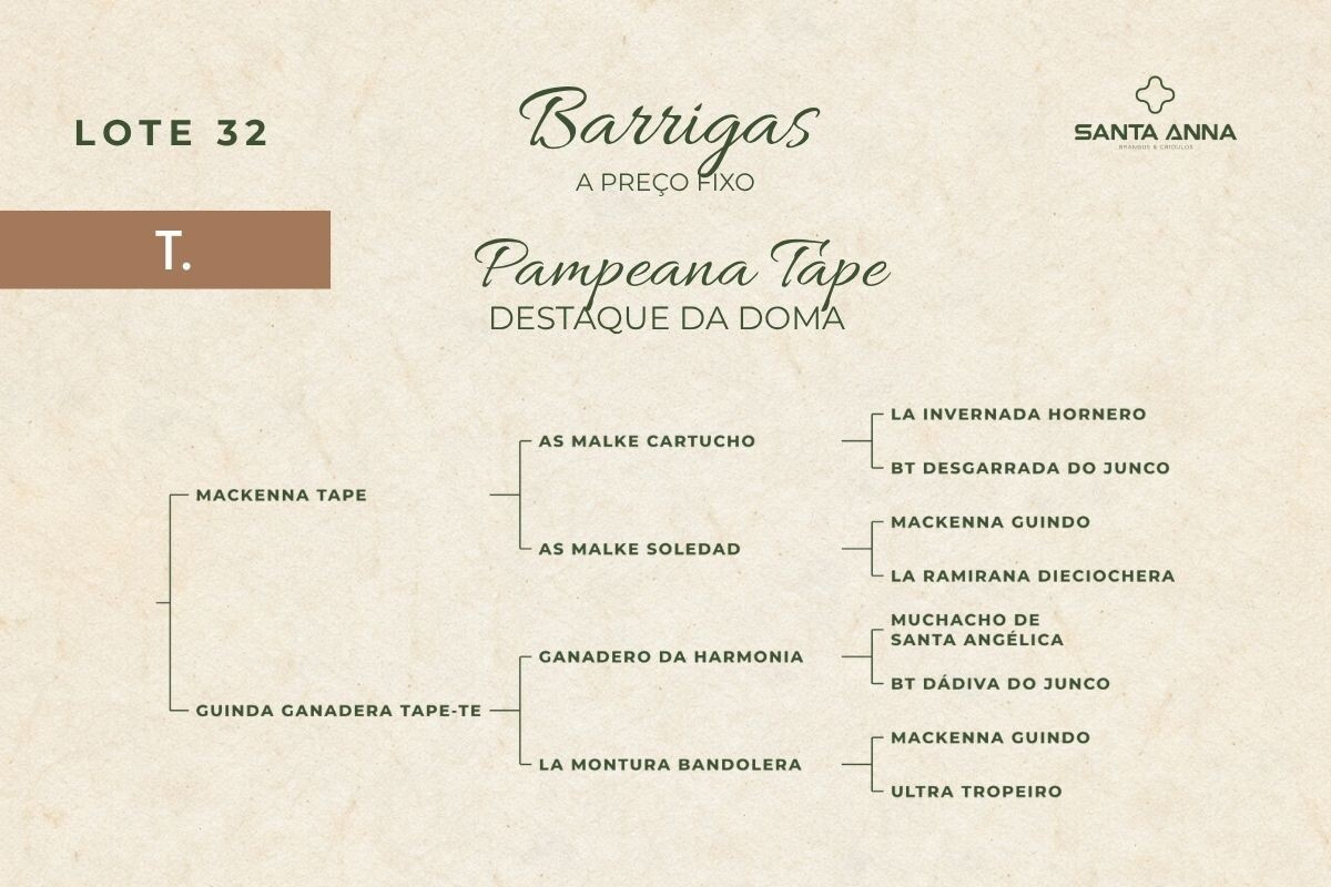 Geração PAMPEANA TAPE